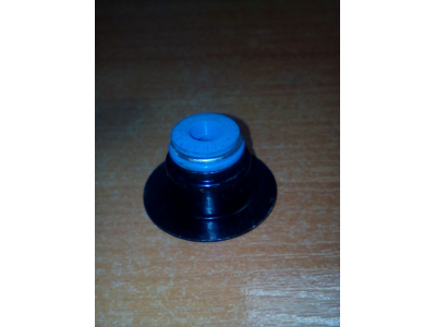 Колпачок маслосъемный DF DONG FENG (ДОНГ ФЕНГ) 3943888 для самосвала фото 1 Казань